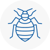 Bed Bug Extermination In Burgess Hill